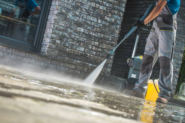 Best Boat and Dock Cleaning  in Thorp, WI