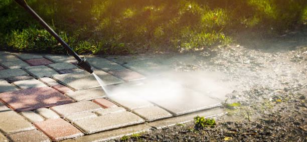 Best Soft Washing  in Thorp, WI